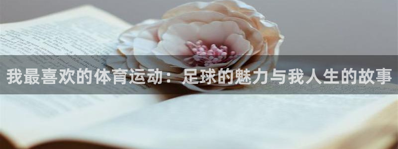 欧亿体育官方正版app娱乐首页网站大全：我最喜欢的体