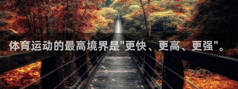 欧亿体育官方正版app新能源：体育运动的最高境界是\