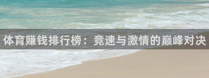 海南oety欧亿体育官网下载发展怎么样：体育赚钱排行榜：竞速