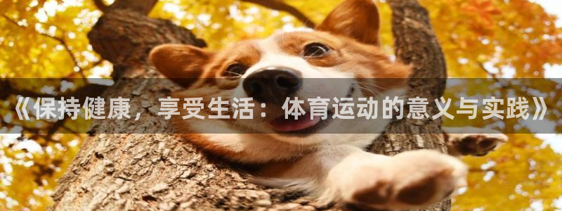欧亿体育官方集团官网：《保持健康，享受生活：体育运动的意义与