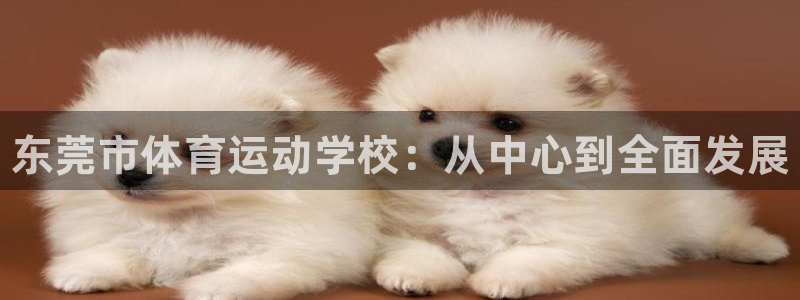欧亿体育官方正版app官网：东莞市体育运动学校：从中