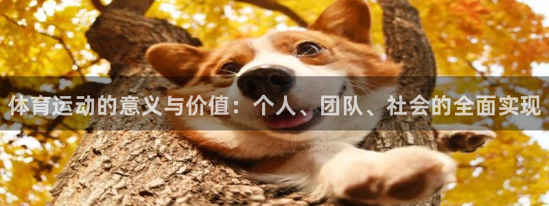 oety欧亿体育官网下载招商：体育运动的意义与价值：