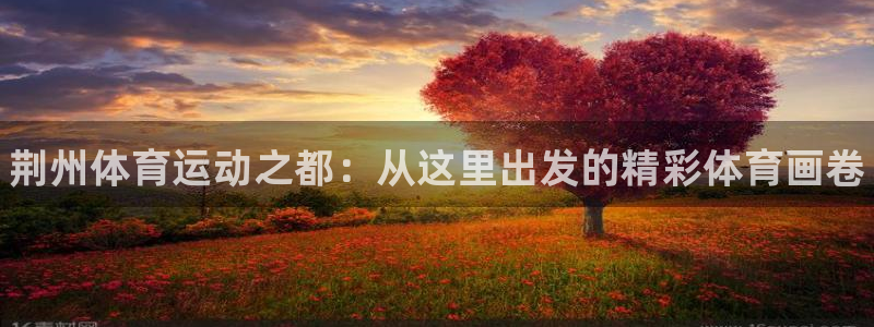 oety欧亿体育官网下载联系电话：荆州体育运动之都：