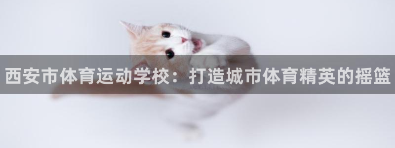 欧亿体育官方正版app代理：西安市体育运动学校：打造