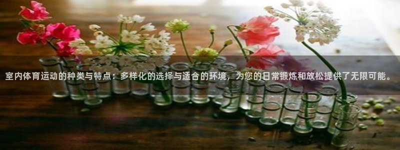 oety欧亿体育官网下载注册：室内体育运动的种类与特