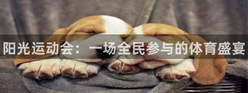 海南oety欧亿体育官网下载：阳光运动会：一场全民参与的体育