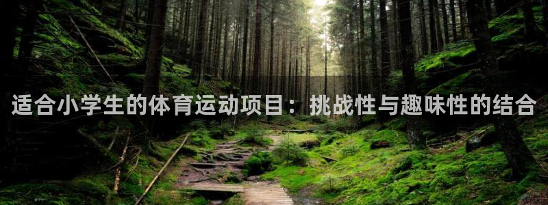 欧亿体育官方正版app官方：适合小学生的体育运动项目：挑战性