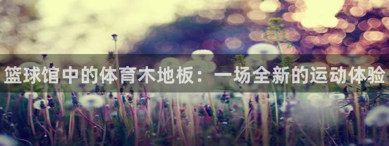 欧亿体育官方正版app官方：篮球馆中的体育木地板：一场全新的