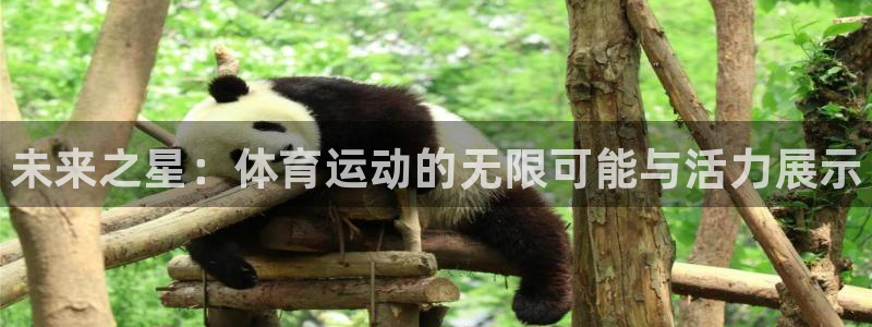 oety欧亿体育官网下载平台注册流程图：未来之星：体