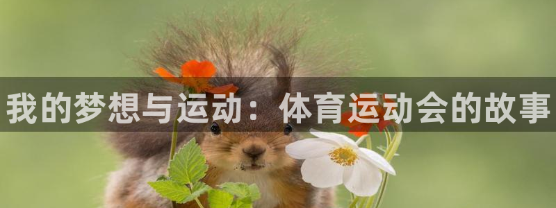 oety欧亿体育官网下载是干嘛的公司：我的梦想与运动：体育运