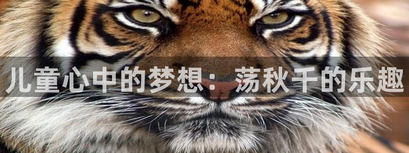 oety欧亿体育官网下载是干嘛的公司
