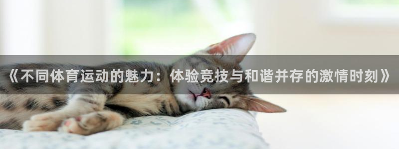 欧亿体育官方正版app官方
