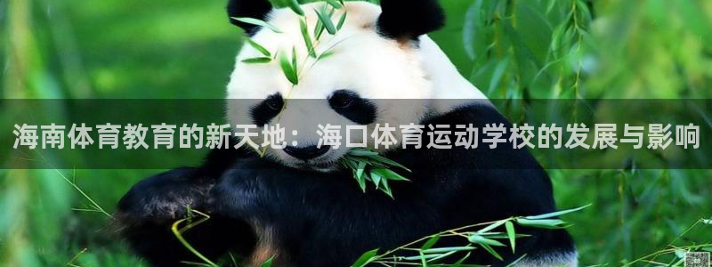 oety欧亿体育官网下载开户：海南体育教育的新天地：海口体育
