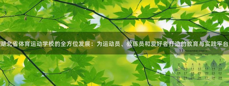 oety欧亿体育官网下载平台是正规平台吗安全吗：湖北省体育运