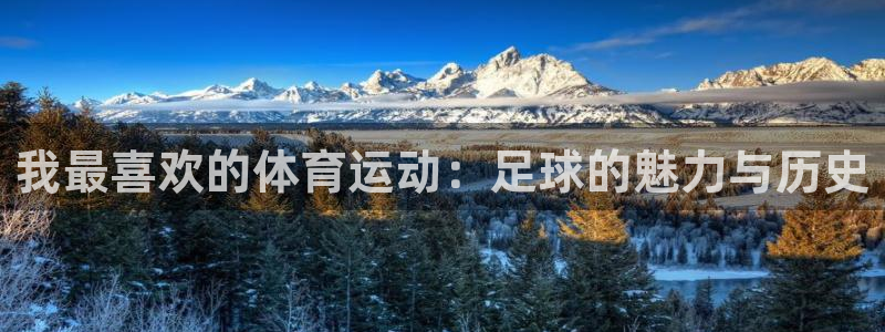欧亿体育官方正版app集团E.ON：我最喜欢的体育运动：足球
