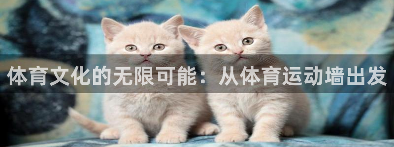 oety欧亿体育官网下载联系电话：体育文化的无限可能：从体育