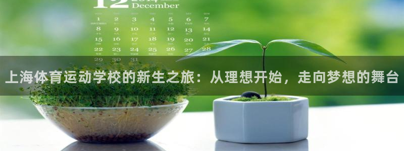 欧亿体育官方正版app官网：上海体育运动学校的新生之旅：从理